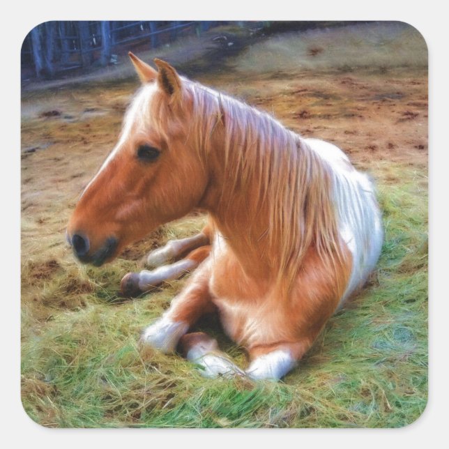 Palomino Reitstall Quadratischer Aufkleber (Vorderseite)