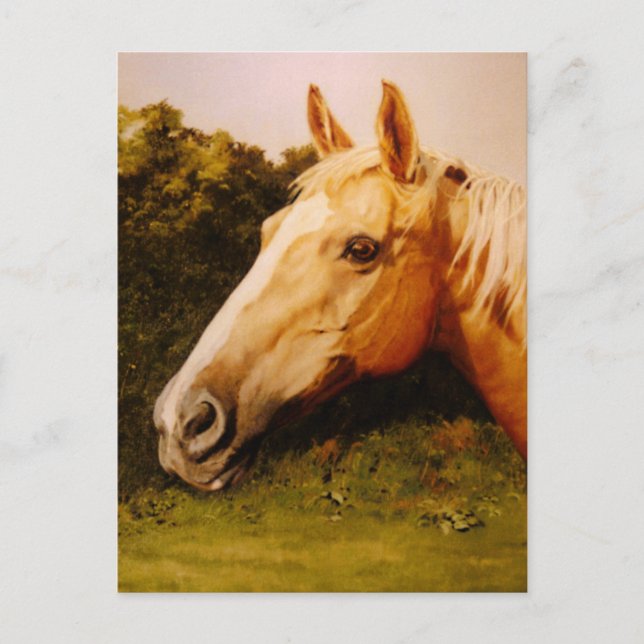 Palomino Rodelbahn Postkarte (Vorderseite)