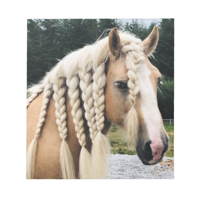 Palomino Sinti und Roma Vanner Notizblock (Vorderseite)