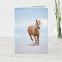 Palomino-Stallion in der Dunes Horse Grußkarte