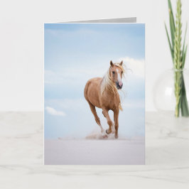 Palomino-Stallion in der Dunes Horse Grußkarte Karte
