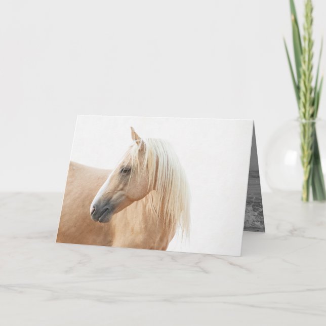 Palomino Stallion verwandelt Pferdegrubenkarte Karte (Vorderseite)