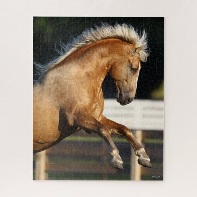 Palomino Tennessee Walker Stallion (Vertikal)