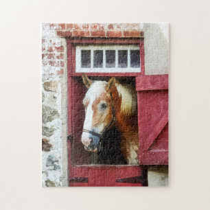 Palomino von Barn Door