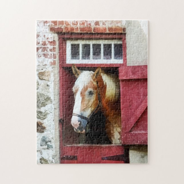 Palomino von Barn Door (Vertikal)