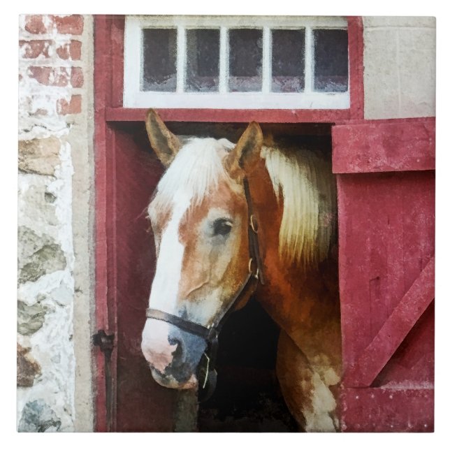 Palomino von Barn Door Fliese (Vorderseite)