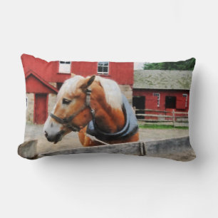 Palomino von Red Barn Lendenkissen