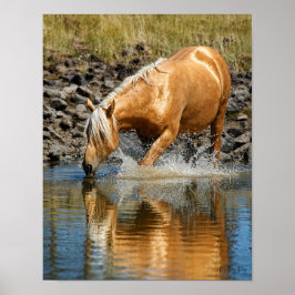 Palomino Waters  Poster