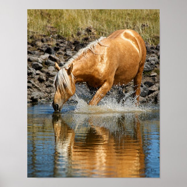 Palomino Waters  Poster (Vorne)