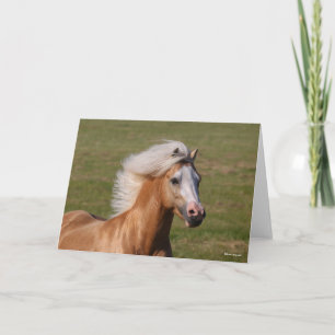 Palomino Welsh Pony Headhot Mane Flowing Karte