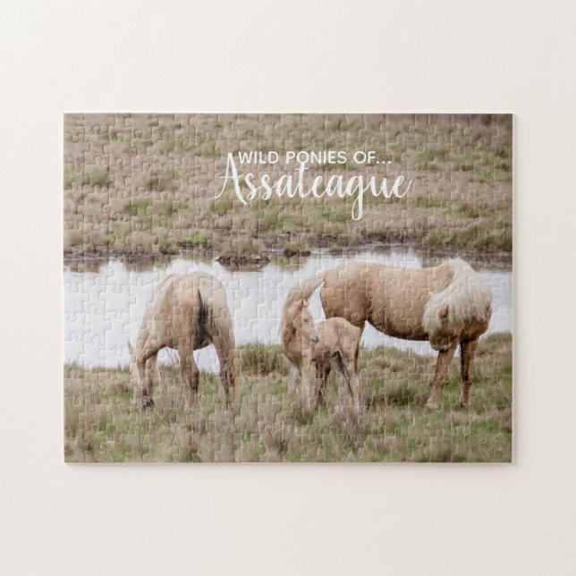 Palomino Wild Ponies of Assateague (Horizontal)