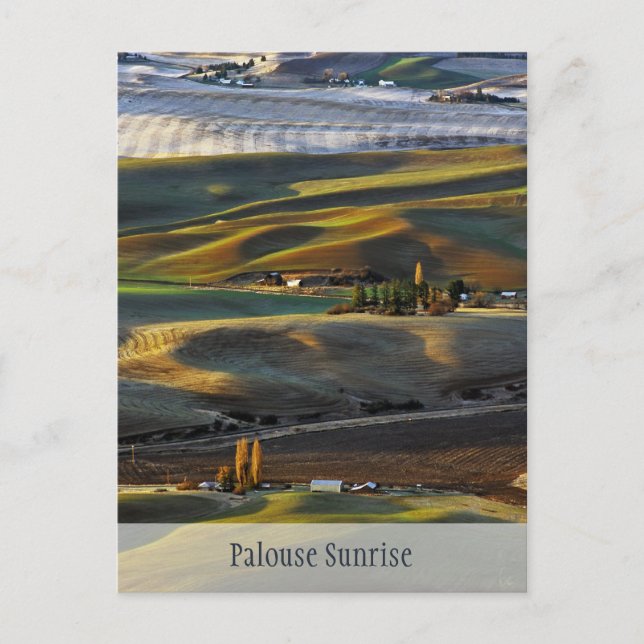 Palouse Sunrise Postkarte (Vorderseite)