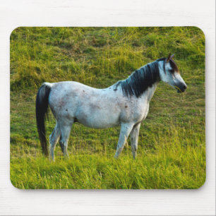 Palouspferd, Colfax, Palouse Area, Washington Mousepad