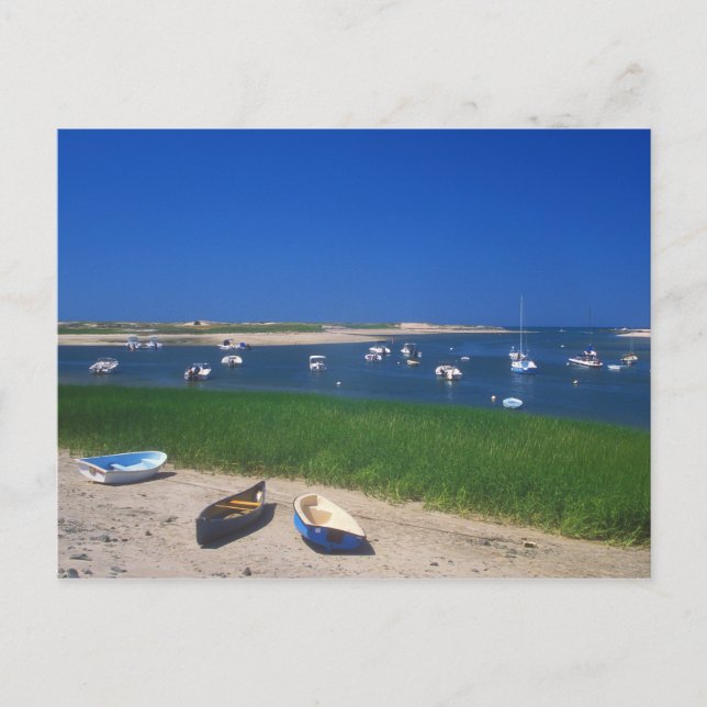 Pamet Harbour Truro Cape Cod Postkarte (Vorderseite)