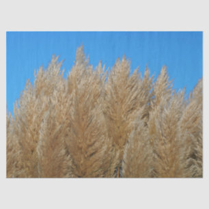 Pampas-Gras-Gewebe Seidenpapier