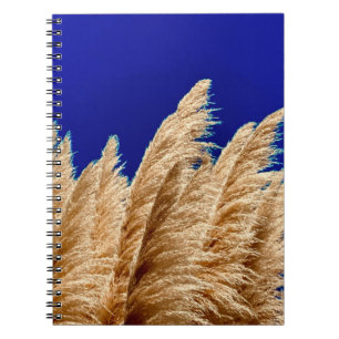 Pampas und Sky Notebook Notizblock