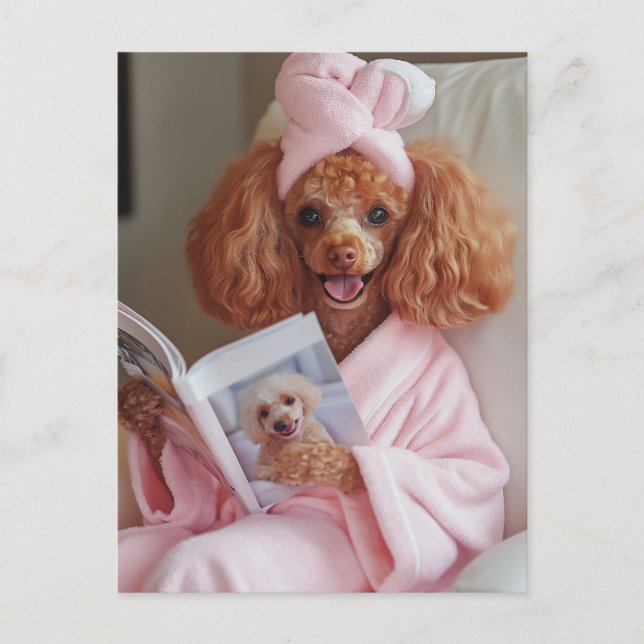 Pampered Poodle Reading Day Postkarte (Vorderseite)
