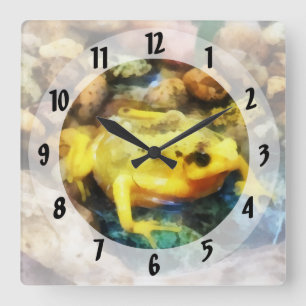 Panamanian Golden Frosch Quadratische Wanduhr