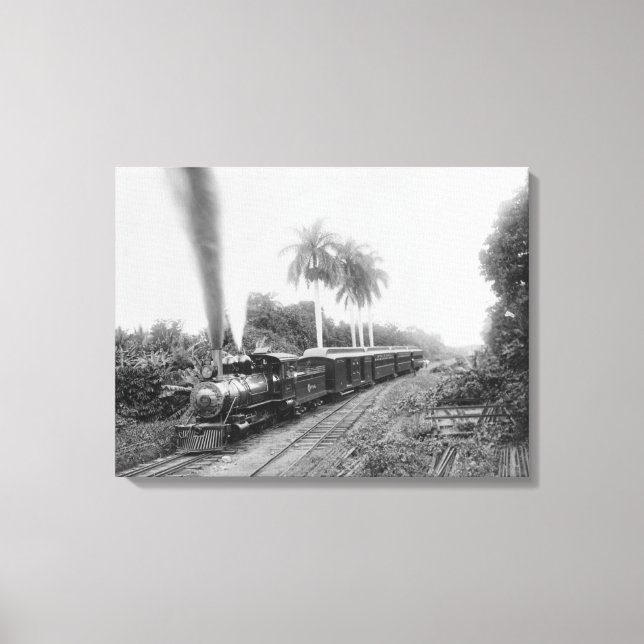Panamerikanische Zentralbahn in Guatemala Leinwanddruck (Vorderseite)