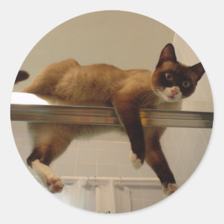 Pancake Sticker