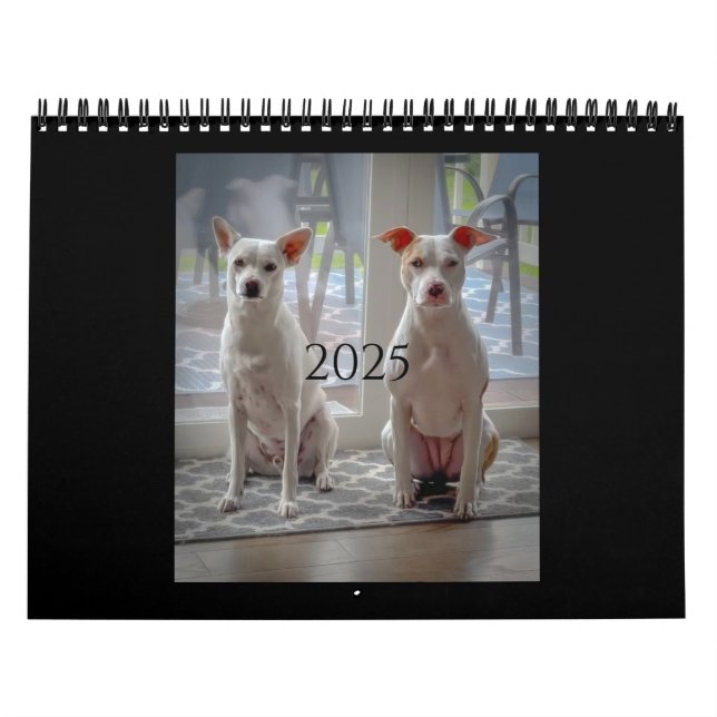 Pancake und Milchshake, mittlerer Kalender (Titelbild)