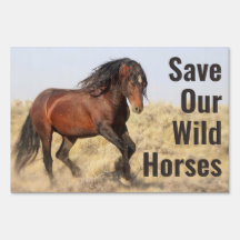 Sauvez nos chevaux sauvages