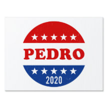 Vote pour Pedro 2020 Politique