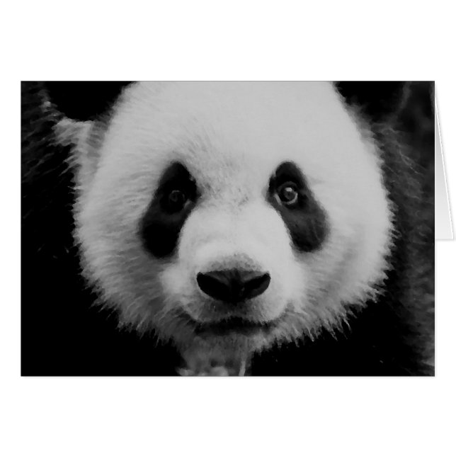 Panda (Vorderseite (Horizontal))