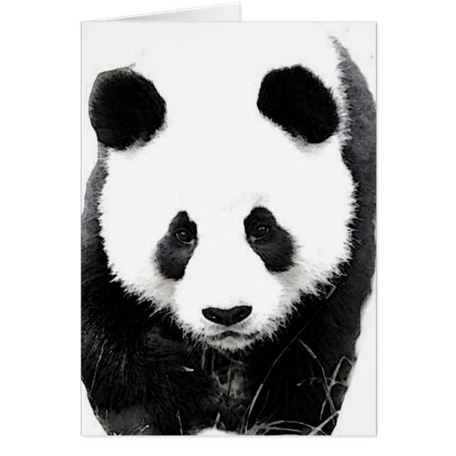 Panda (Devant)