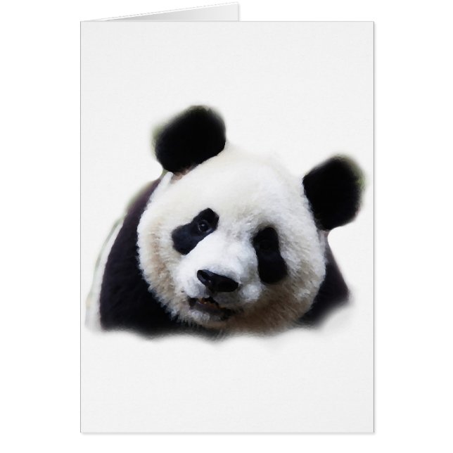 Panda (Devant)