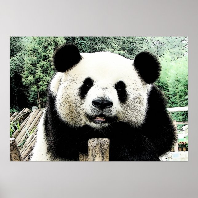 Panda Artwork Poster (Vorne)