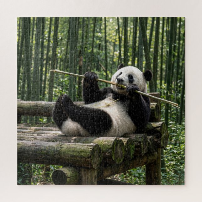 Panda auf einer Holzplattform (Vertikal)