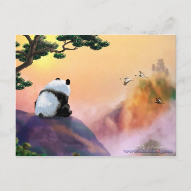 Panda - Ausblick Postkarte (Vorderseite)