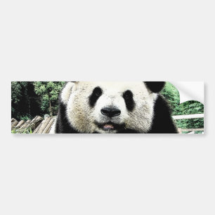 Panda Autoaufkleber