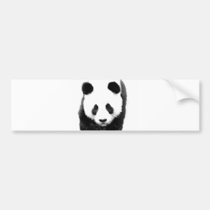 Panda Autoaufkleber