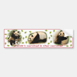 Panda-Autoaufkleber Autoaufkleber