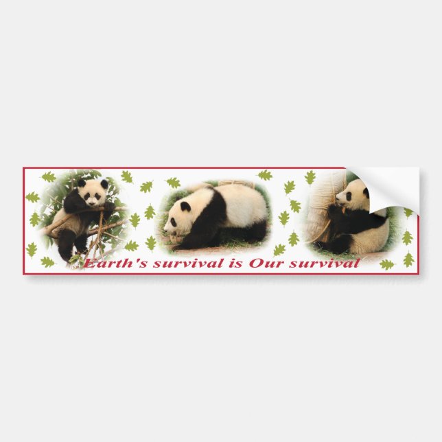 Panda-Autoaufkleber Autoaufkleber (Vorne)
