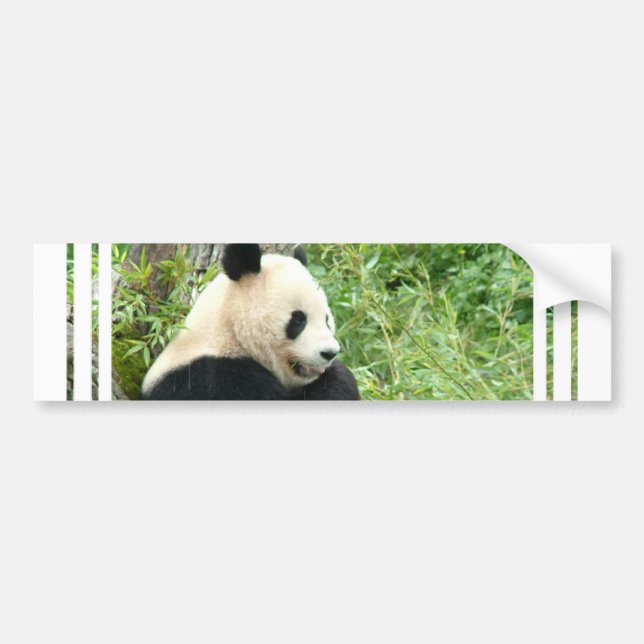 Panda-Autoaufkleber Autoaufkleber (Vorne)