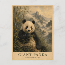 Panda Bambushochebenen China VINTAGE Postkarte