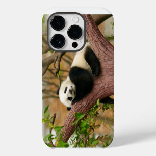 Panda-Bär Case-Mate iPhone-Hülle iPhone 14 Pro Hülle