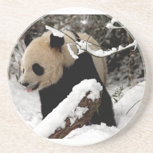 Panda Bär Getränkeuntersetzer (Vorne)