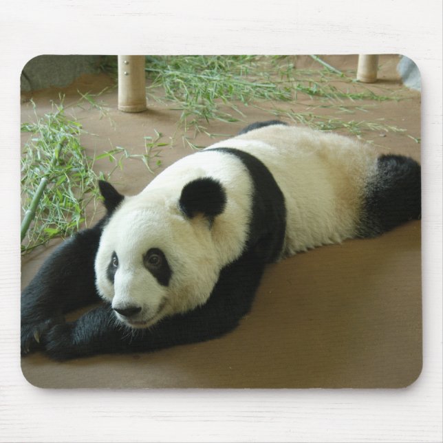 Panda-Bär Mousepad (Vorne)
