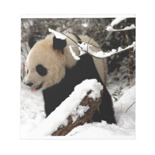 Panda-Bär Notizblock