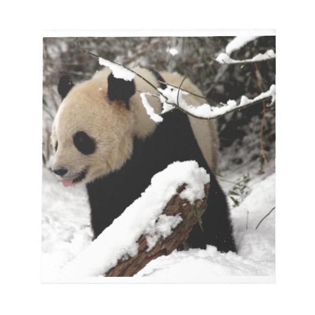 Panda-Bär Notizblock (Vorderseite)