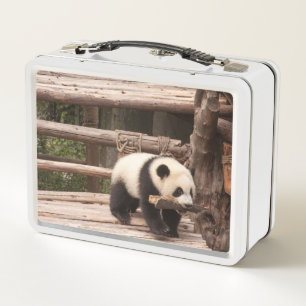 Panda Bär spielend Metal Lunchbox