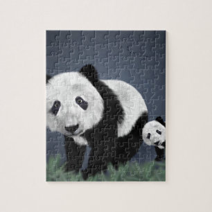 Panda Bär süß kuschelig Tier schwarz weiß süß