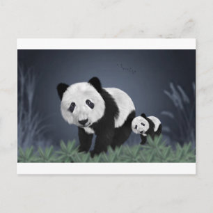 Panda Bär süß kuschelig Tier schwarz weiß süß Postkarte