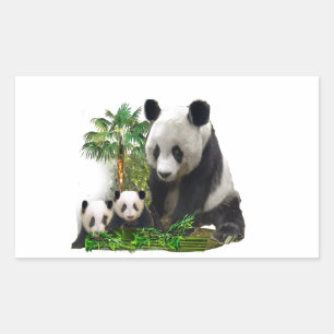 Panda-Bär und -Junge Kunst-Metall-Ornament Rechteckiger Aufkleber