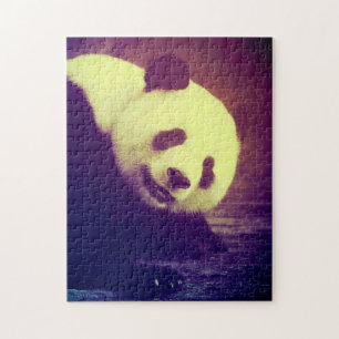Panda-Bären.