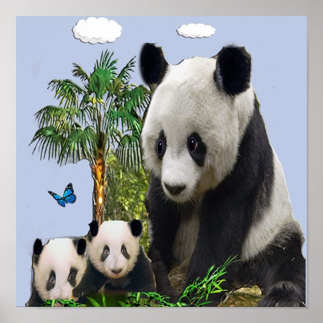 Panda Bären-Designs Poster (Vorne)